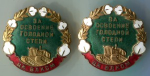 За освоение голодной степи 2шт.