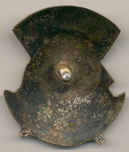 Отличнику здравоохранения №15903, с дефектом знамени.