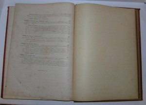 1882. Живописная Россия,П.П.Семенова том 2 часть (1 и 2)