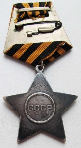Слава 250003