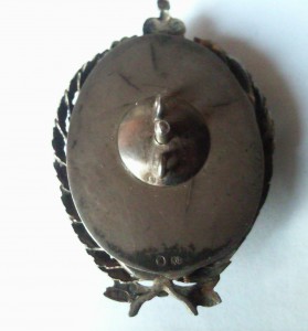 ЗНАК ПРОВИЗОРА В СЕРЕБРЕ ( большой)