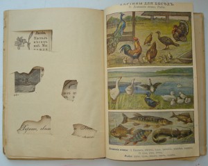 БУКВАРЬ 1916г.