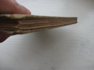 Книга первая помощь 1894 год.