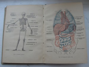 Книга первая помощь 1894 год.