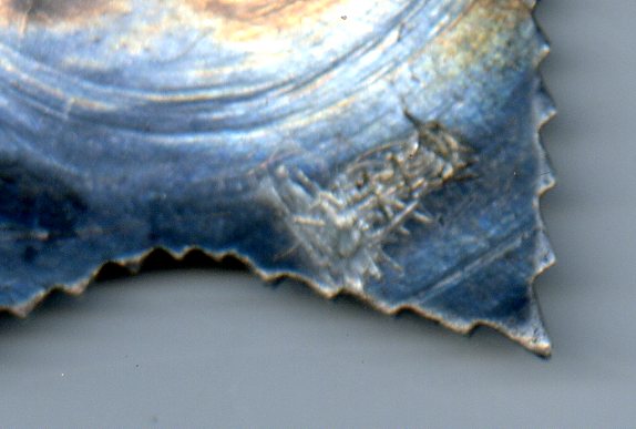 Орден "Суворова". 3 ст.