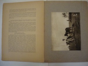 Третьяковская галлерея. 1914г. Шамурины Ю. и З.