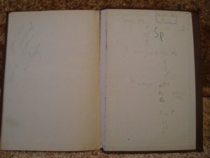 Н. Носков "Белинский" ; Н. С. Лесков Изб. произв. Французск.
