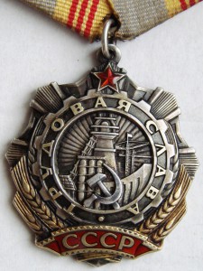 Трудовая Слава 3 ст. № 8181,  на документе