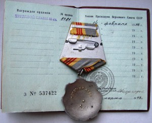 Трудовая Слава 3 ст. № 8181,  на документе