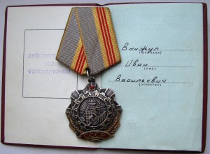 Трудовая Слава 3 ст. № 8181,  на документе