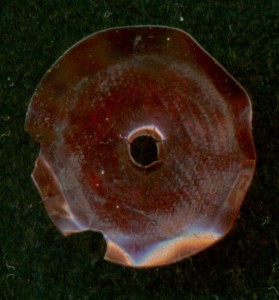 ЗНАК ..! (надеюсь, что не частый)