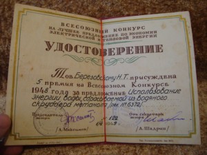 Документы на Березовского Н и Т и другие доки.
