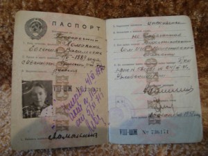 Документы на Березовского Н и Т и другие доки.
