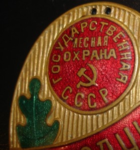 ОБЬЕЗДЧИК ГОСУДАРСТВЕННАЯ ЛЕСНАЯ ОХРАНА