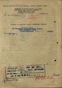 Невский,ОВ-IIст,КЗ,Отвага,+доки..,На Кавалера ДВУХ НЕВСКИХ!