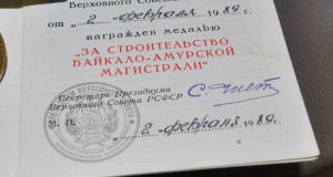 БАМ, Гладкий док, Чистоплясов на Женщину ЛЮКС !