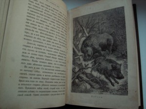 Рассказы о русской природе 1889 Богданов