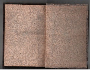 Иллюстрированная энциклопедия реальных знаний 1907г.