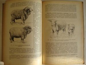 Основы Дарвинизма. 1947г.