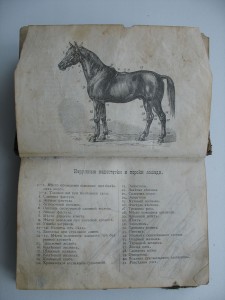 Книга ветеринара