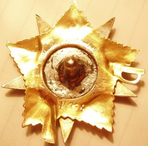 БКЗ,БКЗ перевыдача,БКЗ-3.