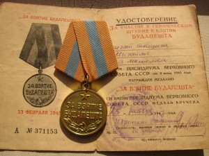 Вена+Будапешт на одного с документами