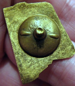 Зверобой Севера