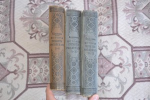 Несколько старинных книг