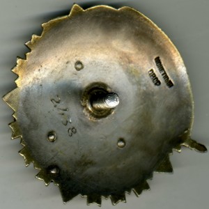 БКЗ № 2438