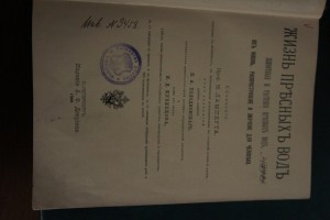 Жизнь пресных вод 1900