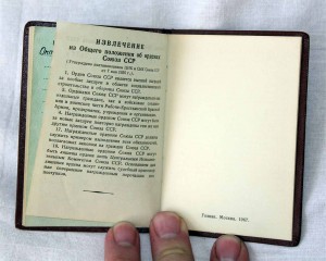 Комплект с довеском: Революция на ПАРТИЗАНА! В люксе! №7***