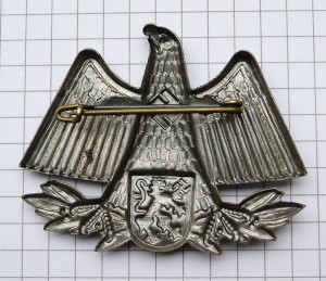 Знак участника имперского партийного съезда в Нюрнберге 1933