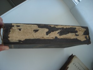 Человек в его прошлом и настоящем. М.Мензбир.1913г