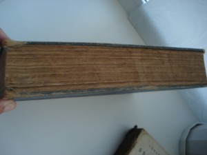 Человек в его прошлом и настоящем. М.Мензбир.1913г
