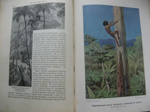 Вселенная и человечество. 1,2,3 том.