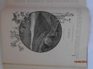 История крестовых походов.