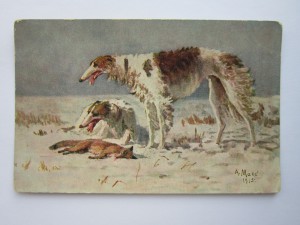 Охота. А. Мако. Борзые. Из-во "Рассвет", Киев.