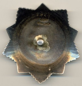 ХМЕЛЬ на старшину-танкиста, вместо 1-й Славы (!), красивый!