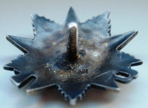 ОВ2 №611330 рыба.