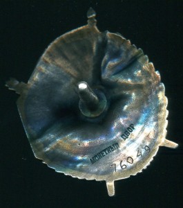 БКЗ   винт № 76 ***