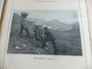 ПУТЕВОДИТЕЛИ