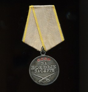 Красное Знамя КЗ БЗ Отечка.