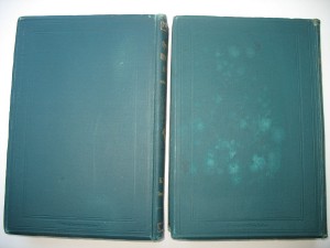 R!М.А.Мензбира.2т Охот и промысл.птицы.России и Кавказа 1900