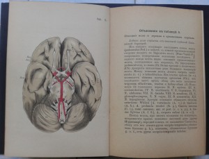 Атлас здоровой и больной нервной системы.1896год.
