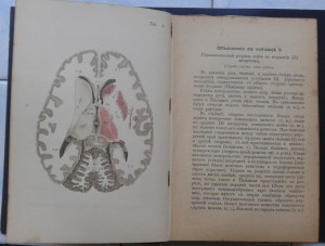 Атлас здоровой и больной нервной системы.1896год.