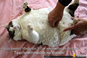 ОБМОРОЧНЫМ НЕ ВХОДИТЬ-(или про ЭТО).