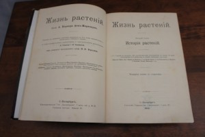 серия вся природа 4