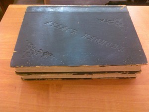 Атлас плодов. А.С.Гребницкого. 1906