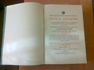 Атлас плодов. А.С.Гребницкого. 1906