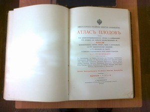 Атлас плодов. А.С.Гребницкого. 1906